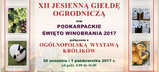 XII Jesienna Giełda Ogrodnicza oraz Podkarpackie Święto Winobrania 2017