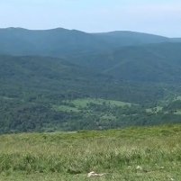 BIESZCZADY: Będą szukać ropy i gazu. PGNiG i ORLEN łączą siły