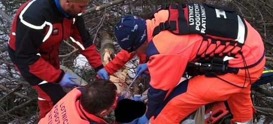 BIESZCZADY: Tragedia podczas prac w lesie. Pilarz zmarł w szpitalu
